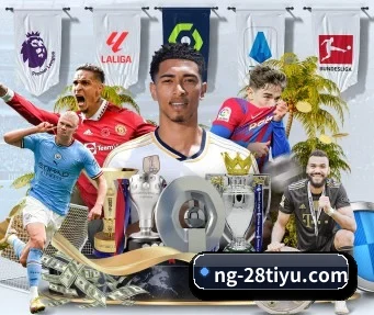 ng28 APP