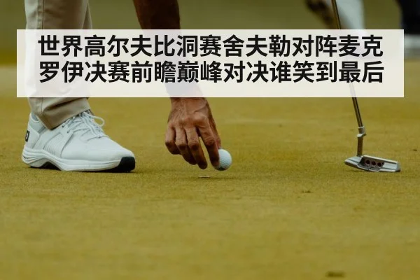 世界高尔夫比洞赛舍夫勒对阵麦克罗伊决赛前瞻巅峰对决谁笑到最后